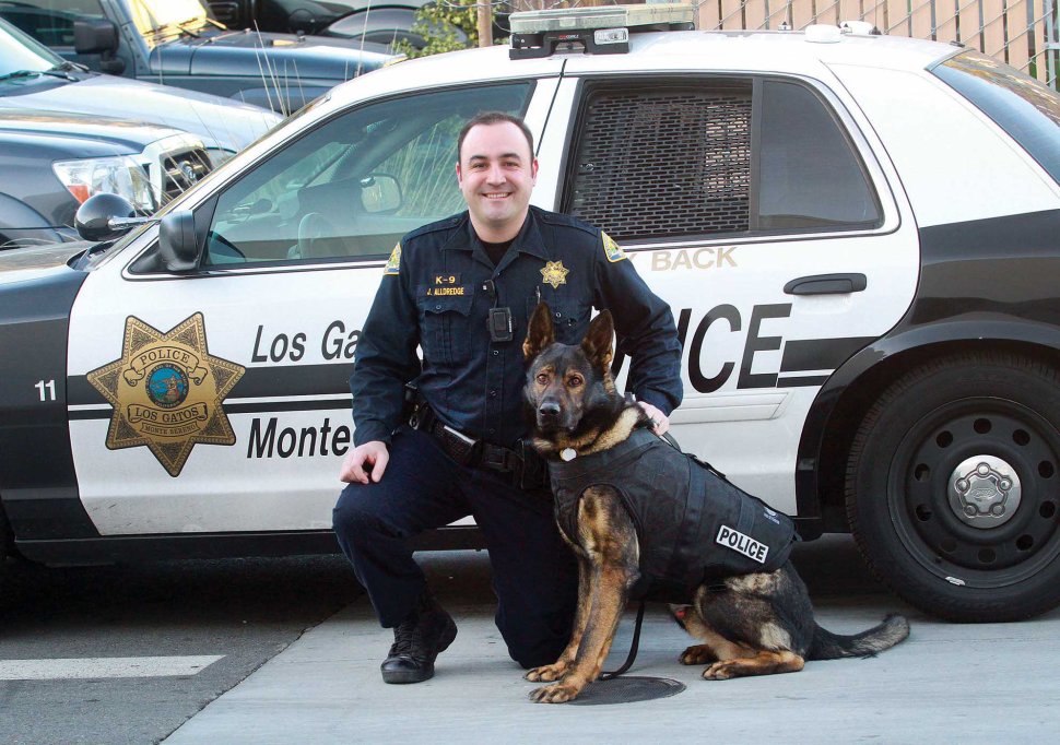 KI 0812 CA dog CREDIT